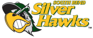 fs_silverhawk